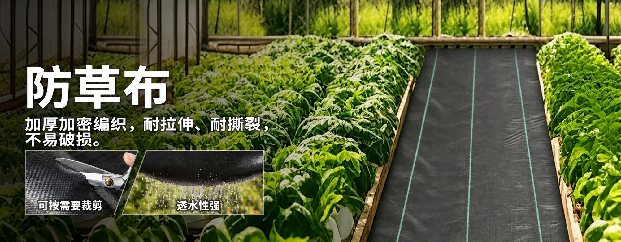 金弘源除草布